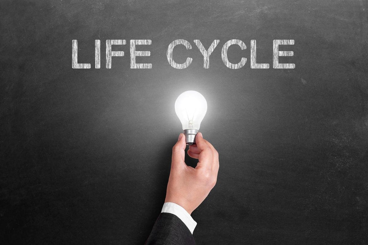 The Four Stages Of The Franchisee Lifecycle | Brandiary